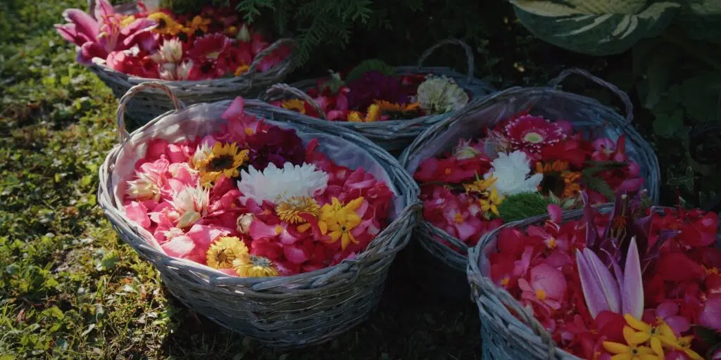 Blumen